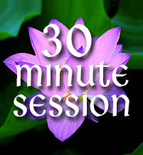 30 Minute Session