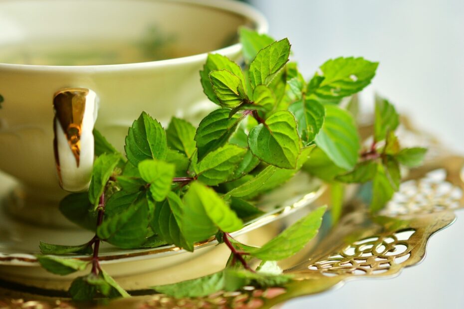 herbal therapies - herbal remedy