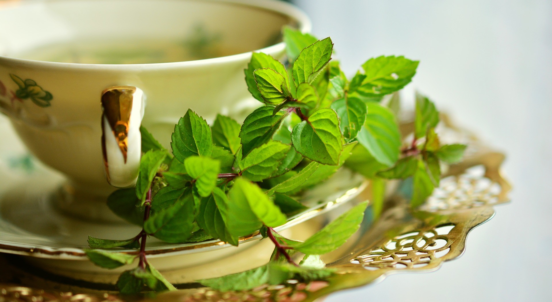 herbal therapies - herbal remedy