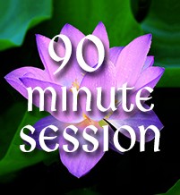 90 Minute Session